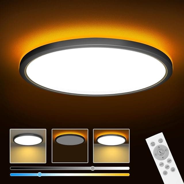 ELEPHANTBOAT plastic 12" Dimmable LED Ceiling Light with ...