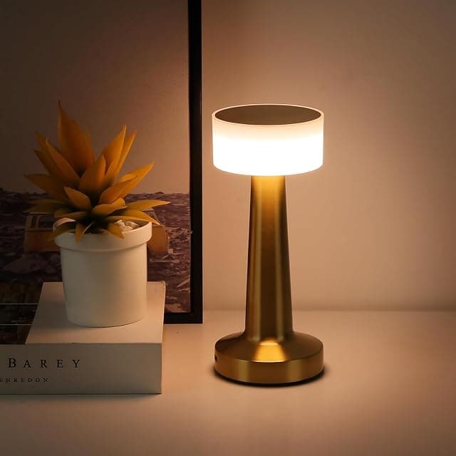 Desidiya Portable LED Table Lamp for Bedroom, Living Room...