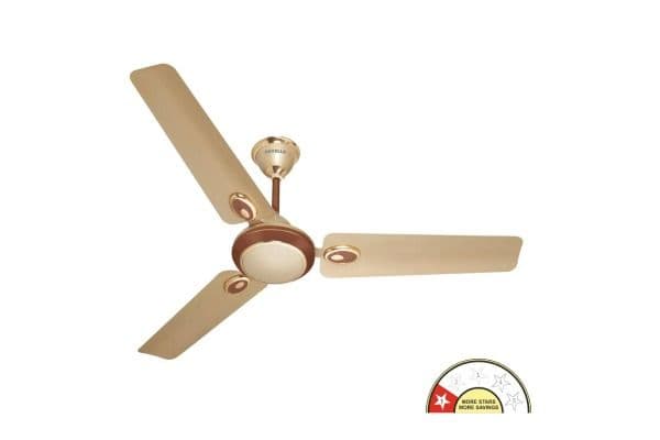 Fusion Decorative Ceiling Fan