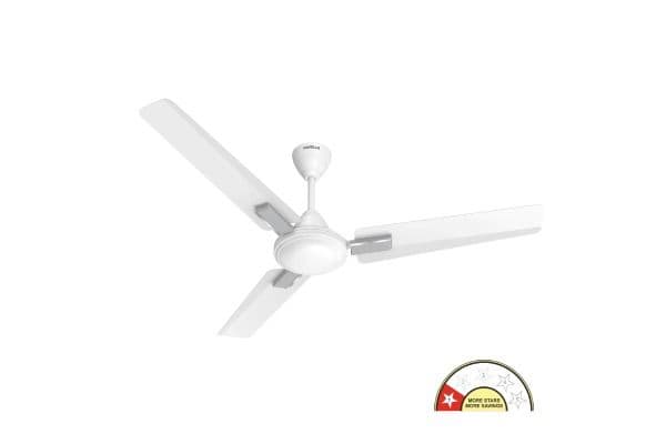Thrill Decor Regular Ceiling Fan